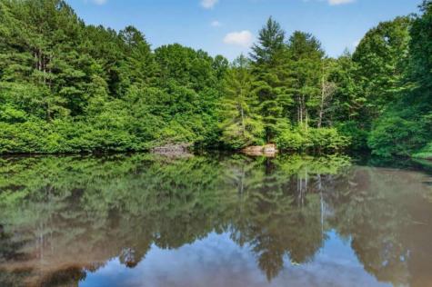 24 Twin Lakes Road Blue Ridge GA 30513