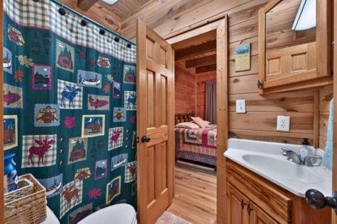 24 Twin Lakes Road Blue Ridge GA 30513