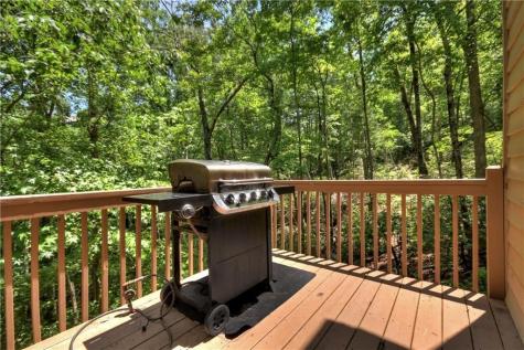 276 Pine Ridge Road Ellijay GA 30536