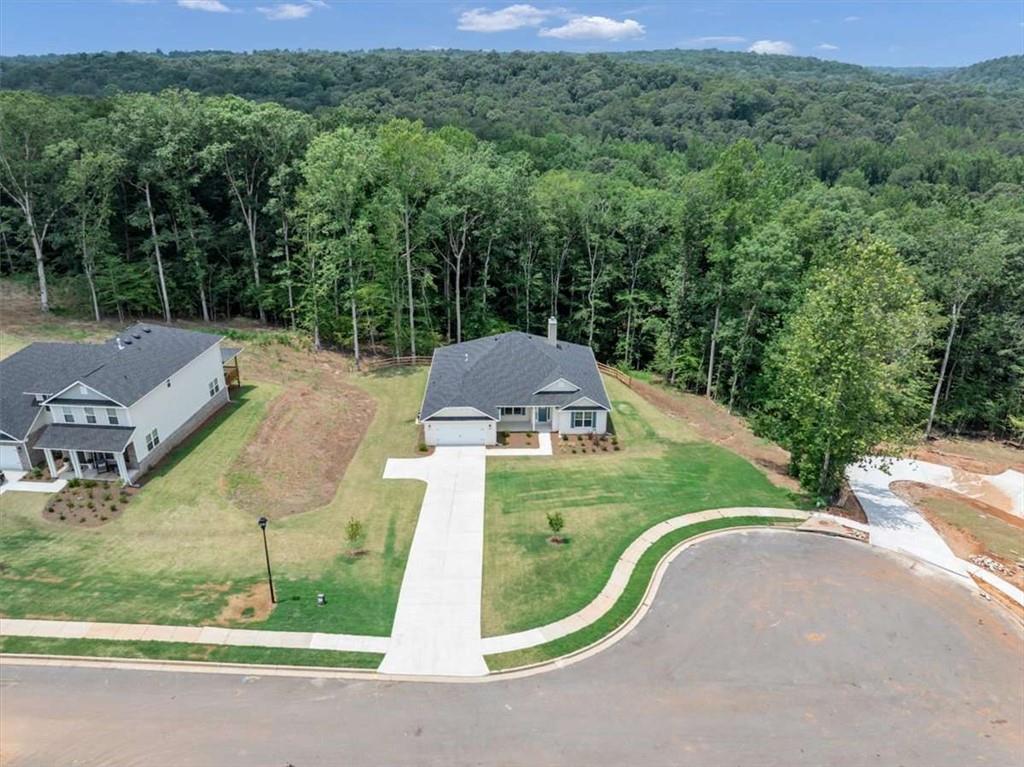 3320 Trevi Trail Douglasville GA 30135