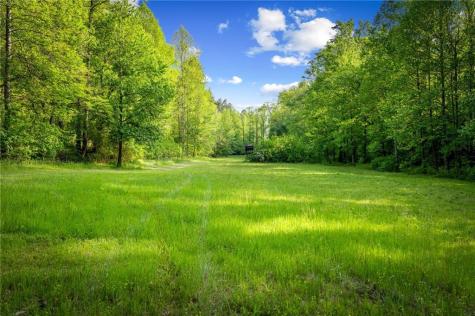 460 Wikle Drive Ellijay GA 30540