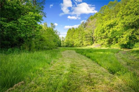 460 Wikle Drive Ellijay GA 30540