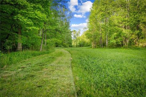 460 Wikle Drive Ellijay GA 30540