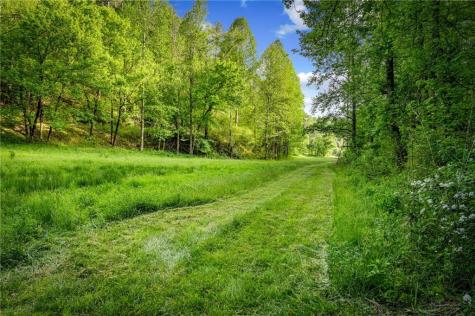 460 Wikle Drive Ellijay GA 30540