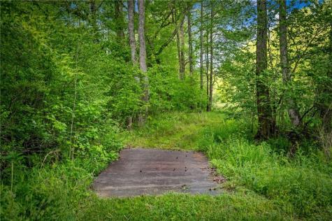 460 Wikle Drive Ellijay GA 30540