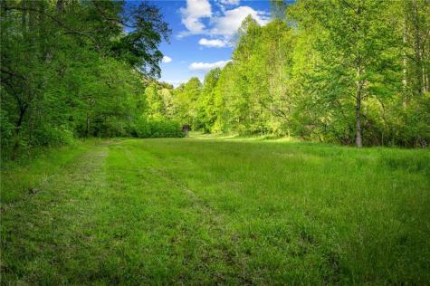 460 Wikle Drive Ellijay GA 30540
