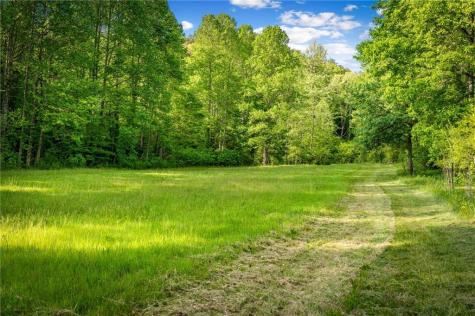 460 Wikle Drive Ellijay GA 30540