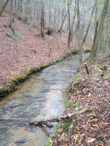 460 Wikle Drive Ellijay GA 30540
