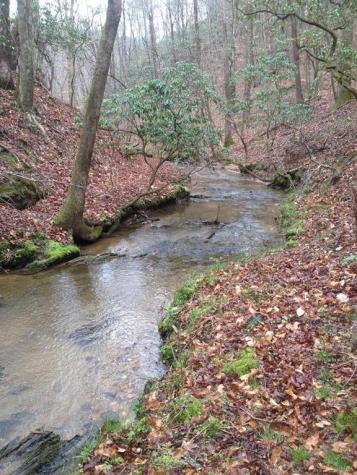 460 Wikle Drive Ellijay GA 30540