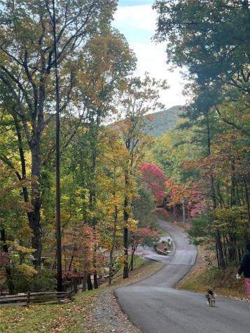 555 Laurel Ridge Drive Ellijay GA 30536