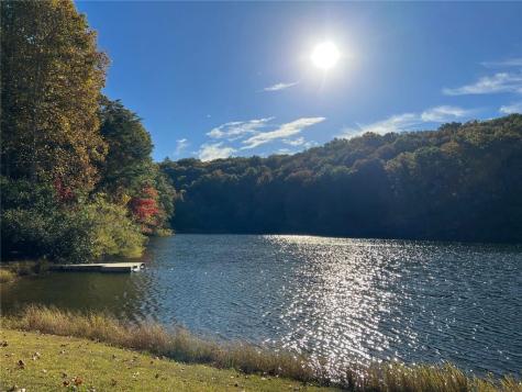555 Laurel Ridge Drive Ellijay GA 30536