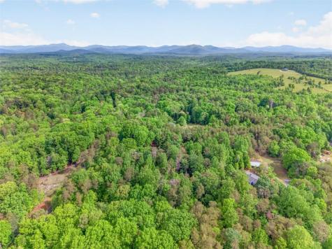 195 Phillips Drive Cleveland GA 30528