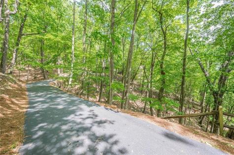61 Deer Run Ridge Jasper GA 30143