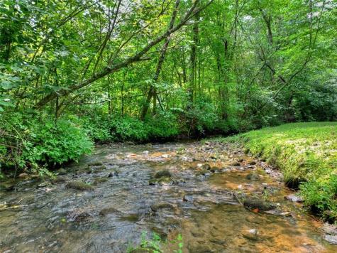 100 Wing Circle Ellijay GA 30536