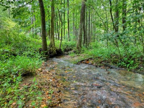 606 Johntown Road Ellijay GA 30536
