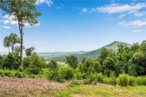 248 Duffer Drive Jasper GA 30143