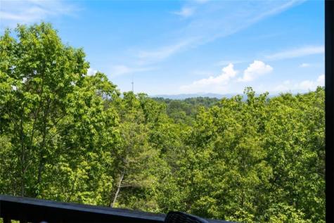 161 Huntington Way Blue Ridge GA 30513