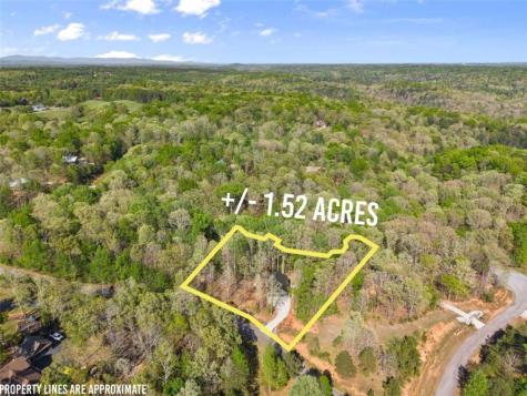 162 Hickory Ridge Drive Cleveland GA 30528