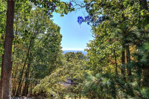 93 Thunder Ridge Jasper GA 30143