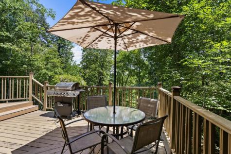 281 Pine Cone Road Blue Ridge GA 30513