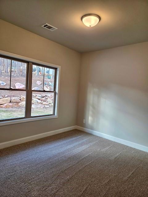 113 Elder Court Waleska GA 30183