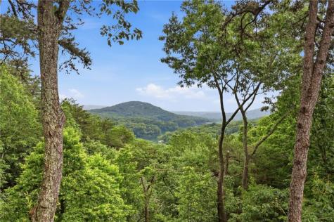 98 Wrens Nest Big Canoe GA 30143