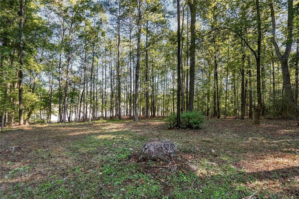 35 Point North Drive Hogansville GA 30230