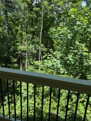 155 Bulldog Way Dahlonega GA 30533