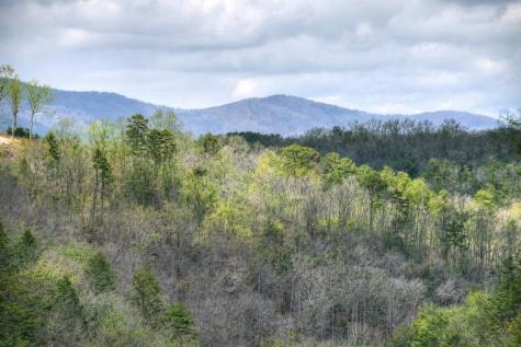 250 Noah Circle Ellijay GA 30540