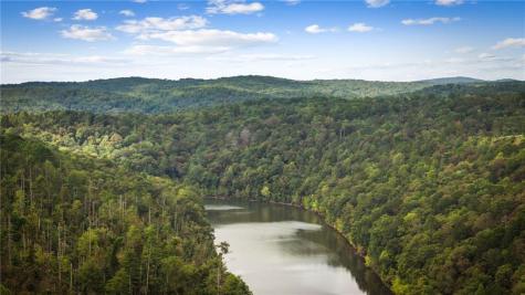 250 Noah Circle Ellijay GA 30540