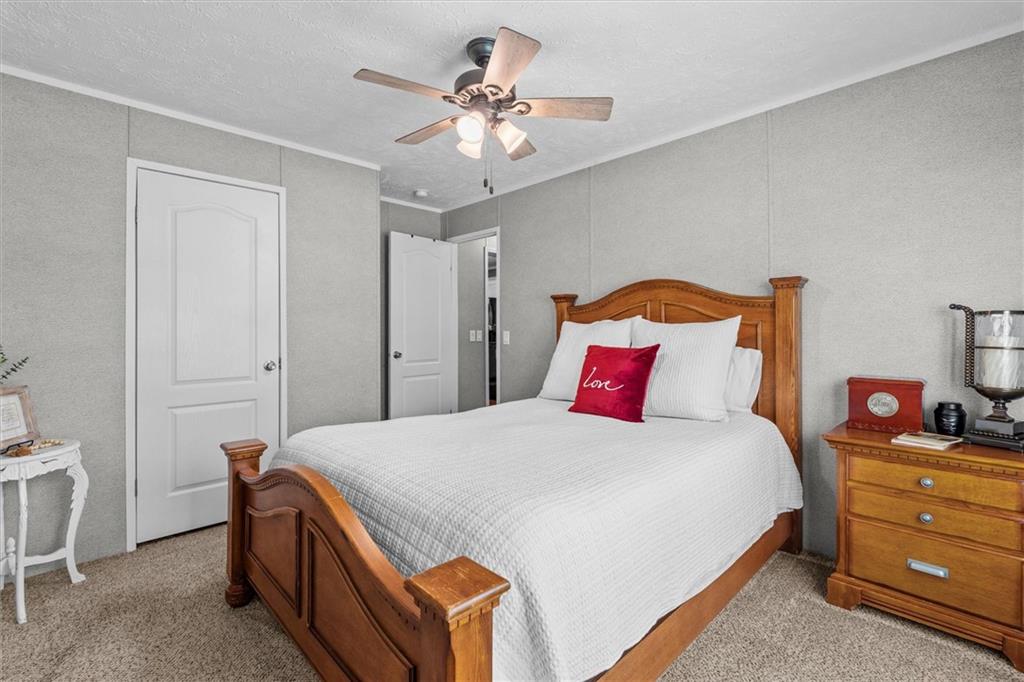 215 Navajo Trail Bowdon GA 30108