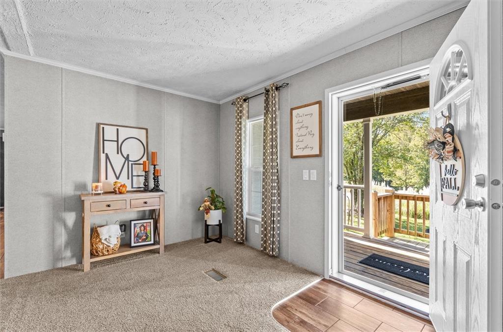 215 Navajo Trail Bowdon GA 30108