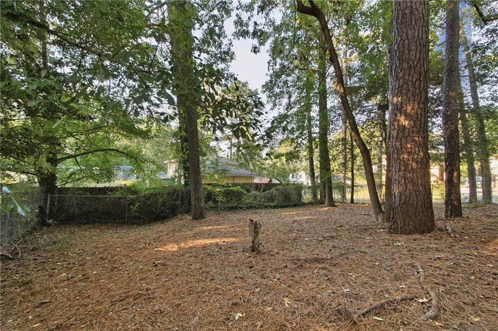 1049 Soapstone Lane Riverdale GA 30296