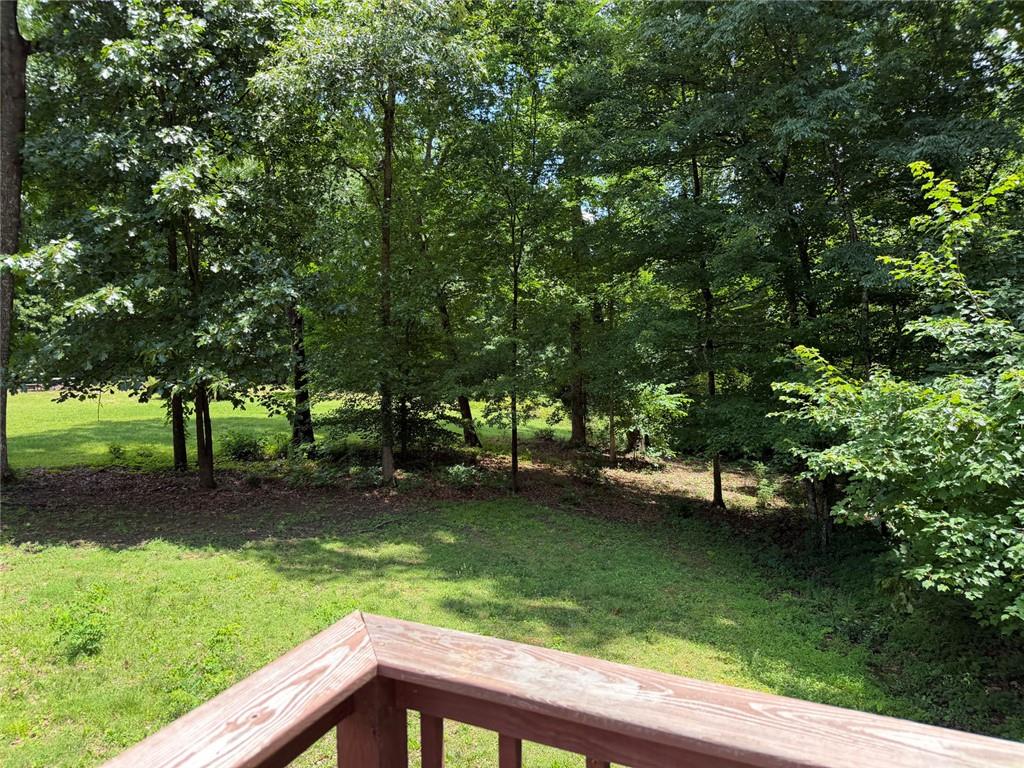 4104 Dinner Belle Lane Cohutta GA 30710