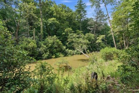 464 Whispering Pine Lane Cherry Log GA 30522