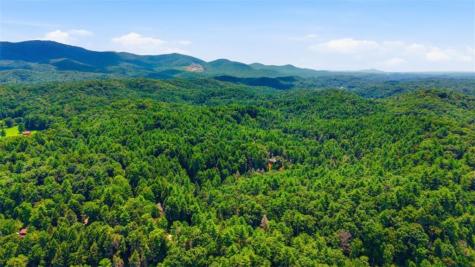 464 Whispering Pine Lane Cherry Log GA 30522