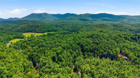 464 Whispering Pine Lane Cherry Log GA 30522