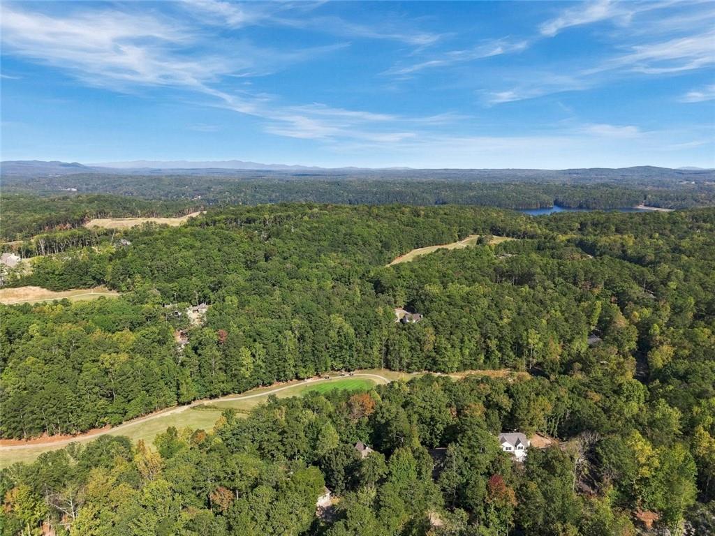 138 Wolverine Drive Waleska GA 30183