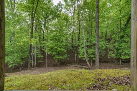 165 Pelican Drive Ellijay GA 30540