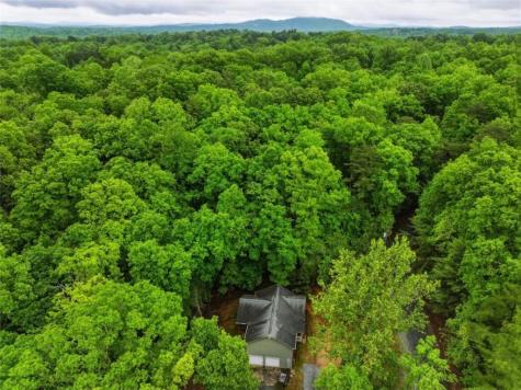 165 Pelican Drive Ellijay GA 30540