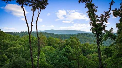 241 Wolf Creek Mountain Road Mineral Bluff GA 30559
