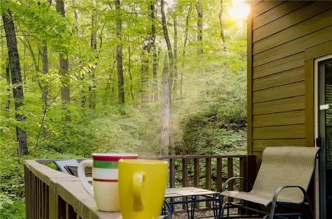 469 N Lake Drive Ellijay GA 30536