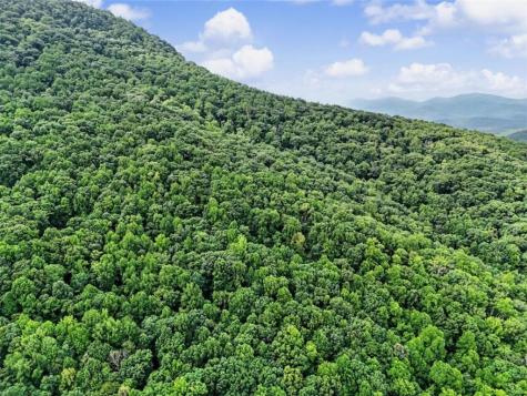 1583 Spring Cove Road Blairsville GA 30512