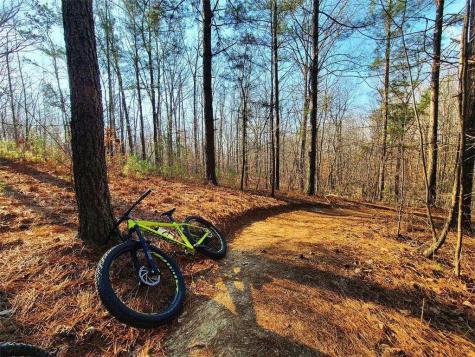 773 Fairview Road Jasper GA 30143