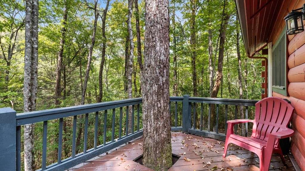 390 Butler Creek Road Cherry Log GA 30522