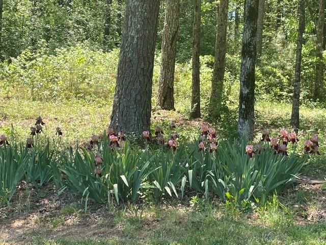 265 Cedar Creek Road NW Cartersville GA 30121