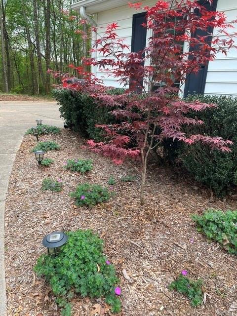 265 Cedar Creek Road NW Cartersville GA 30121