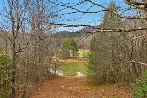 61 Bear Ridge Road Cleveland GA 30528