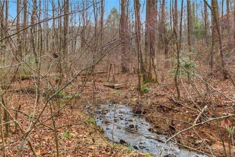 61 Bear Ridge Road Cleveland GA 30528