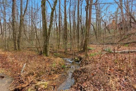 61 Bear Ridge Road Cleveland GA 30528